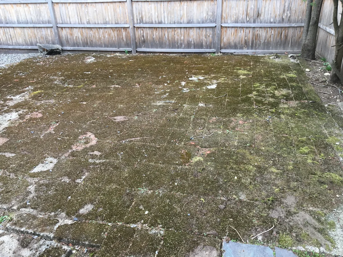 Before Patio Moss Removal in Worcester, MA — Pro Pressure Washing