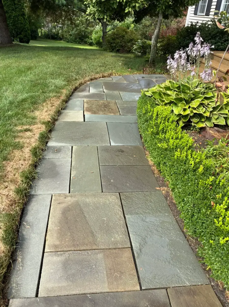After Lichen Removal from a Bluestone Walkway in Worcester County, MA — Pro Pressure Washing