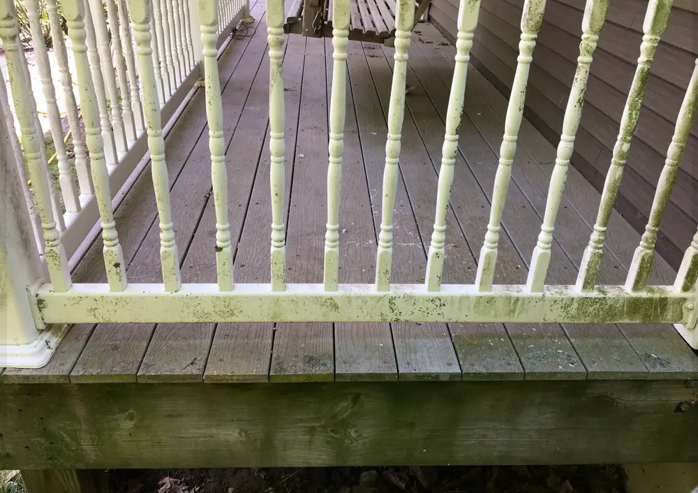 Before Deck & Railing Cleaning in Worcester County, MA — Pro Pressure Washing