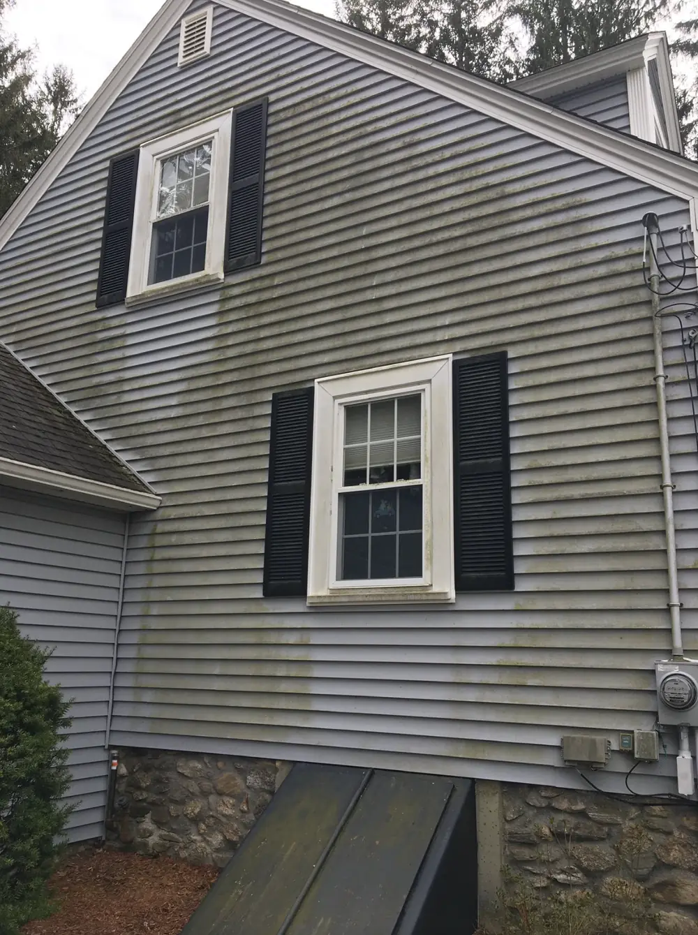 Before Green Algae Removal from House Siding in Worcester County, MA — Pro Pressure Washing