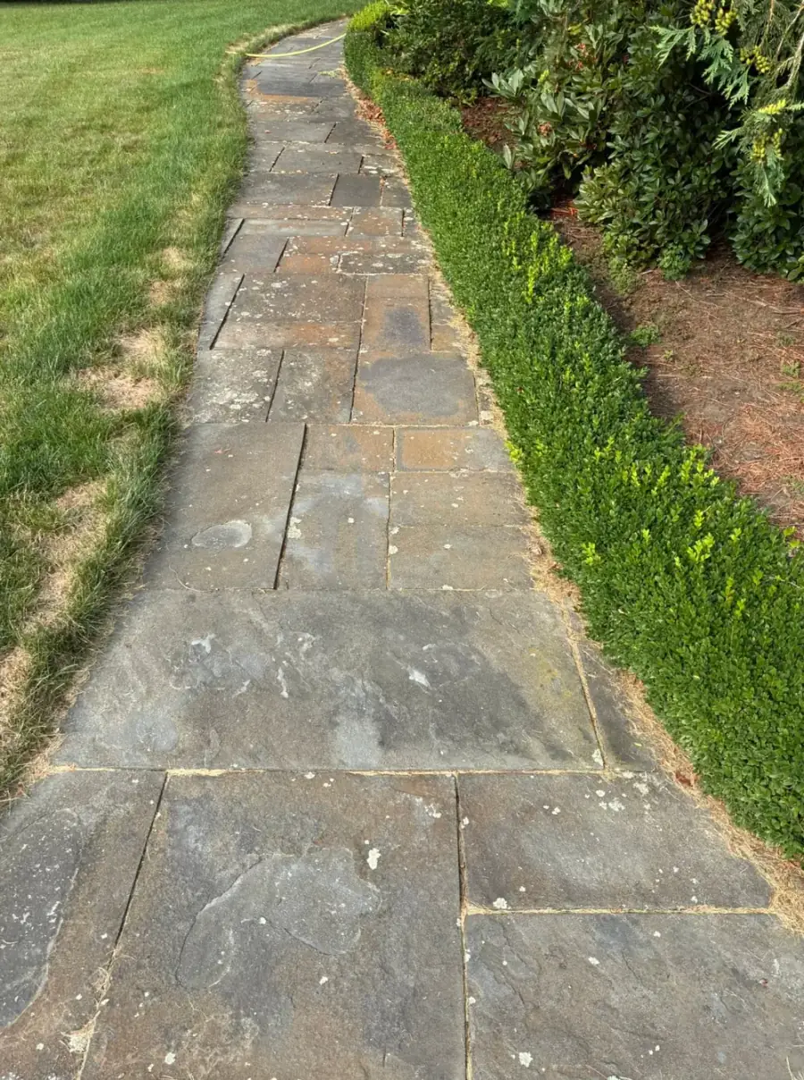 Before Lichen Removal from a Bluestone Walkway in Worcester County, MA — Pro Pressure Washing