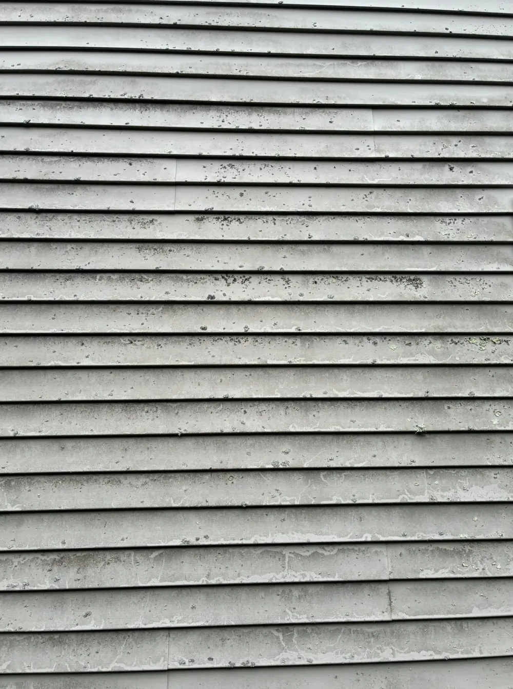 Before Lichen Removal from House Siding in Worcester County, MA — Pro Pressure Washing