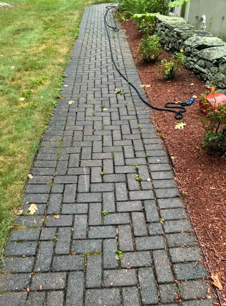 Before Moss Removal from a Brick Paver Path in Worcester County, MA — Pro Pressure Washing