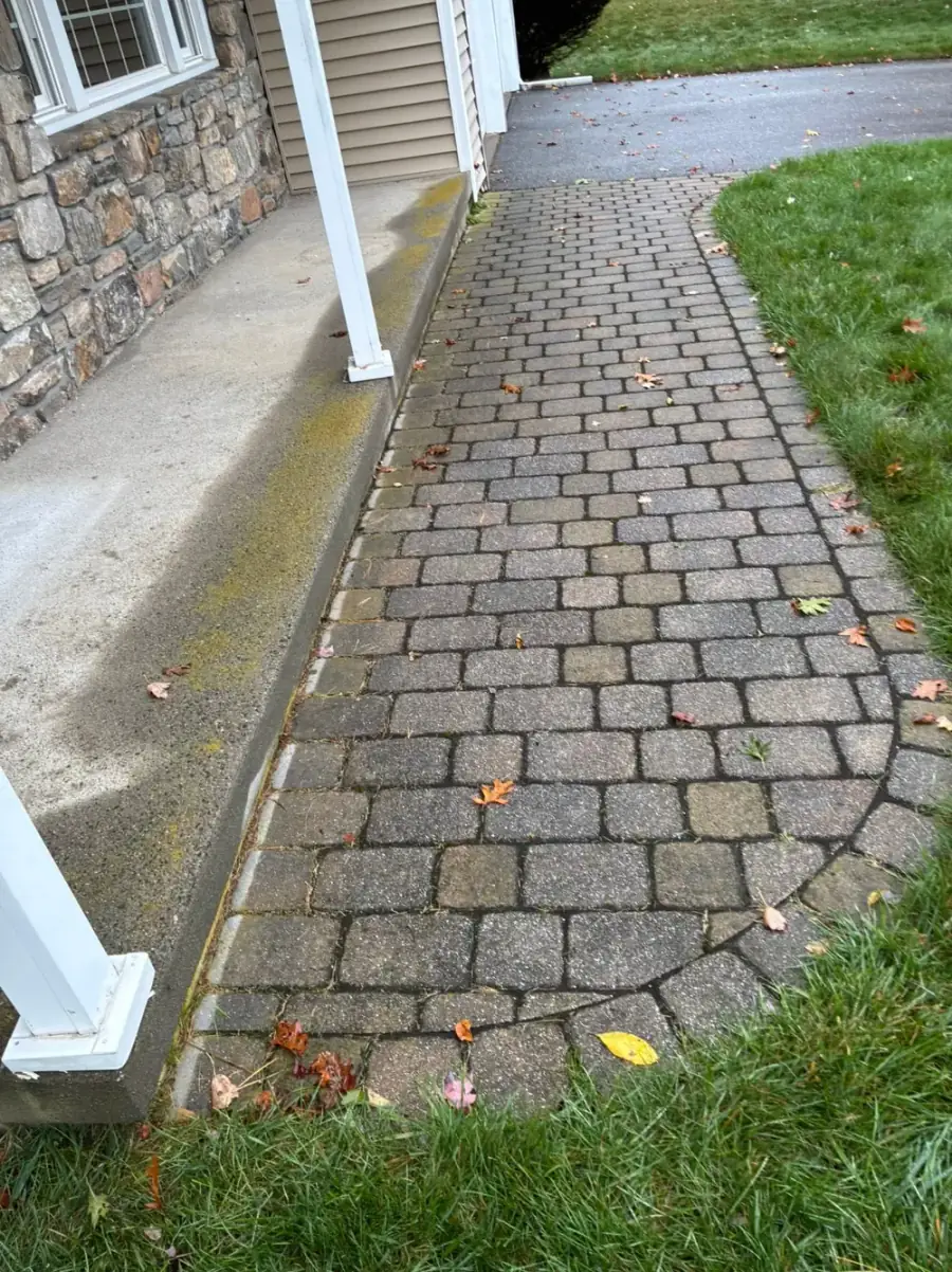 Before Paver Walkway Cleaning & Algae Removal in Worcester County, MA — Pro Pressure Washing