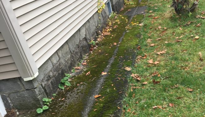 before pressure washing a cement walkway in Worcester MA