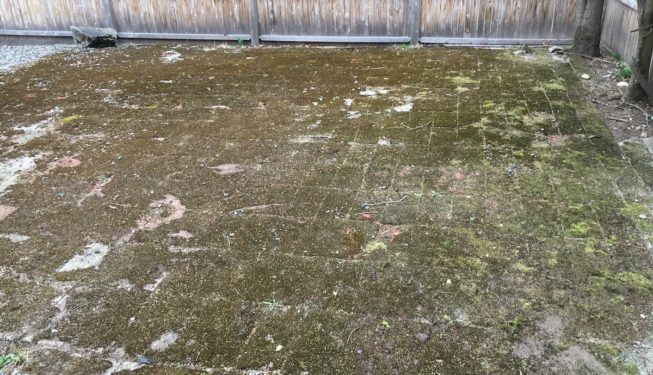 before photo of a patio in Worcester MA covered in moss