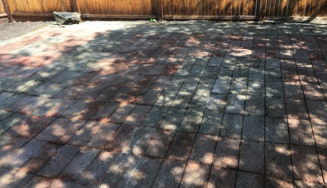 patio pressure washed to remove moss overgrowth in Worcester MA