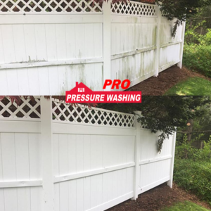 before and after photos of a fence power washed by Pro Pressure Washing